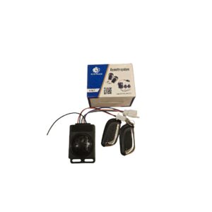 Central lock remote